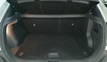 Hyundai Kona 2.0 Executive A/T full
